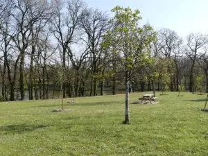 Charmant Appartement avec piscine.