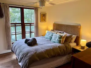 Cosy Cabin in Ancient Rainforest Barrington Tops