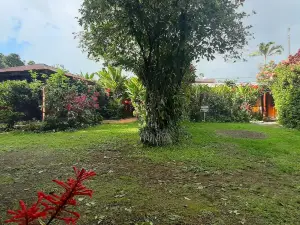 Jardin entre Montañas
