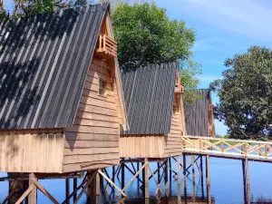 Amazon Private Tours Jungle Lodge