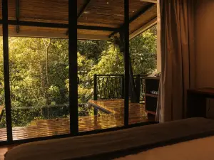 Nuakú Jungle