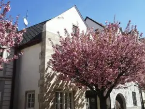 Slavonice - Čapí dům