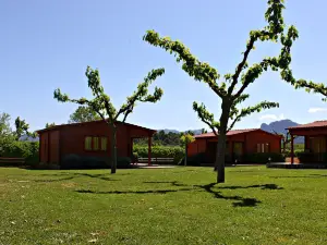 Camping Els Ports