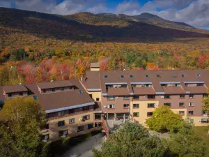 Black Bear Lodge