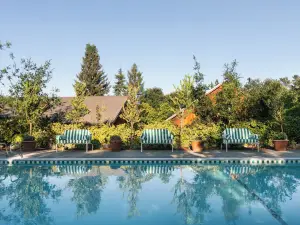 Le Petit Pali St Helena