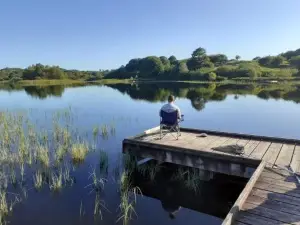 Secluded Traditional Cottage & Hot Tub - Tosses Cottage