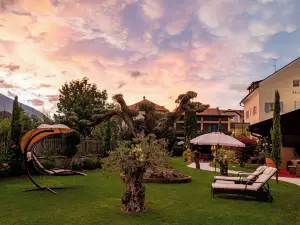 Hotel Traube