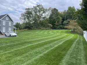 Beautifully Remodeled 5-Bedroom Home • 8 Minutes to Cooperstown All Star Village