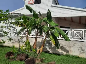 Oasis Grande Anse