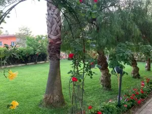 B&B the Garden