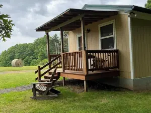 Cozy and comfortable1BR cabin on the Blue Ridge Parkway in Floyd VA.