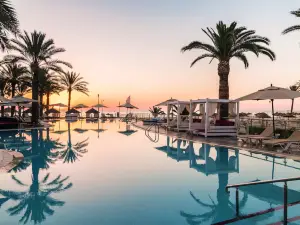 센시마르 세헤라자데 (성인 전용) -