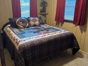 Lake cabin 2-bedroom sleeps 6.  1/2 mile from trails.  Backus with private dock.