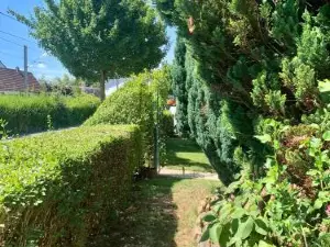 利洛路易莎公寓
