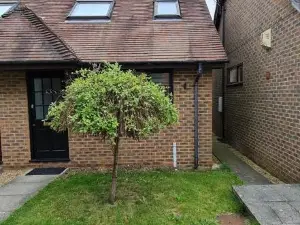 Grace Apartments - Living Stream 1