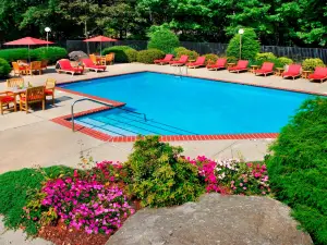 トランブル マリオット シェルトン