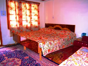 Hotel New Green View