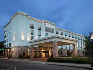 ฮิลตันการ์เด้นอินน์ ดาวน์ทาวน์โมบีล