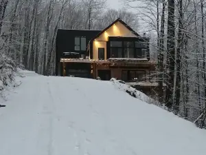 Magnifique Chalet En Montagne