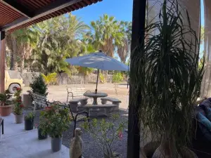 Palapa Bajazul