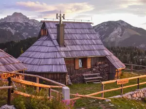 Koča Ojstrica - Velika Planina