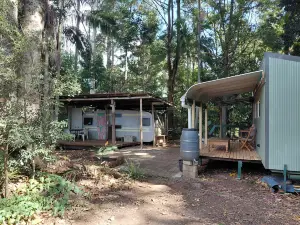 Forest吉普賽微型住宅