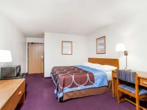 Super 8 by Wyndham Sidney NY