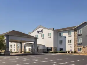 Spark by Hilton Ames