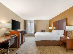 Comfort Inn North Conroe