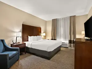 新奧爾良機場南舒適酒店