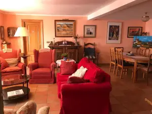 El Olivo de Sansol