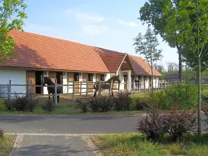 Sarlospuszta Club Hotel