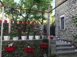 The Mosaic House - Shtepia me Mozaik