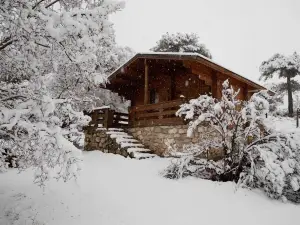 科內霍斯平原小屋