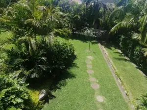 Sapphire Beach Pet Friendly Beach 5 Minute Walk