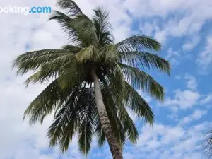 La Sirenita - Ometepe