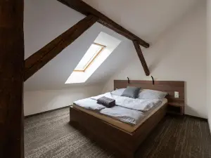 Apartsee Wellness Plzeň