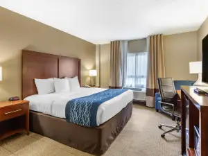 Comfort Inn Aikens Center