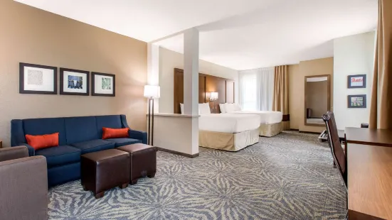 Comfort Suites - South Austin