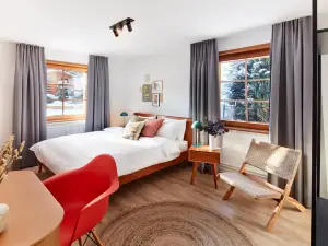 Pop-up Stuub Feldberg