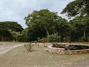 Ezulwini Game Lodge