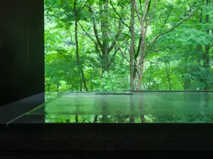 Shikotsuko Daiichi Hotel Suizantei