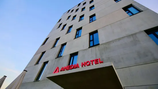 盧斯特瑙阿梅迪亞飯店