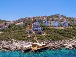 Casa Bi