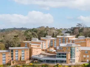 エクセター大学 ホランド ホール