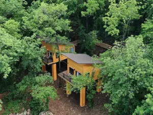 The Riverbirch Treehouse-close to town yet steps away from total wilderness