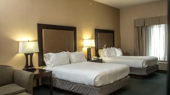Holiday Inn Express & Suites Detroit-Novi