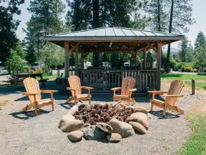 Resort Cabin with Swimming Pond and BBQ Gazebo - Spacious Charming Retreat