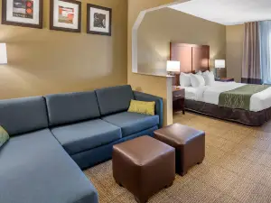 Comfort Inn & Suites Lincoln I-20
