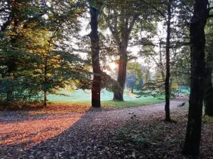 La Maisonnette du Parc au Cœur de Ville & Parking privé